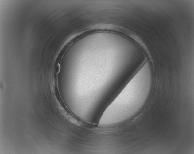 X0000081410984200701120913