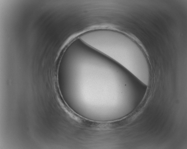 X0000081410989200701120913