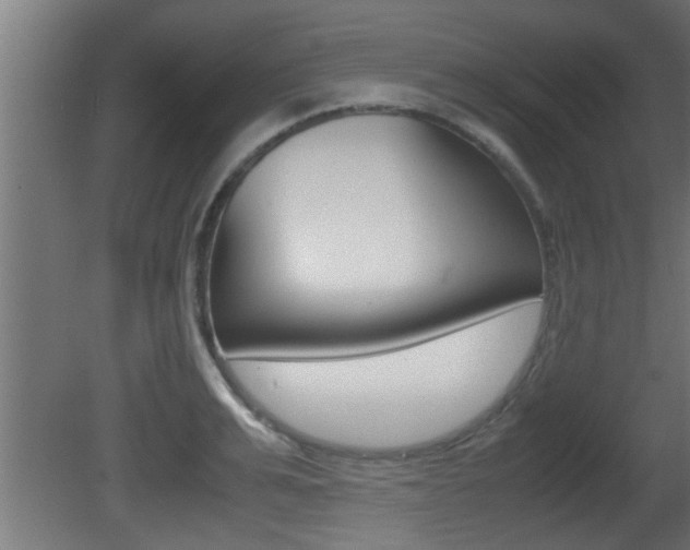 X0000081410991200701120913
