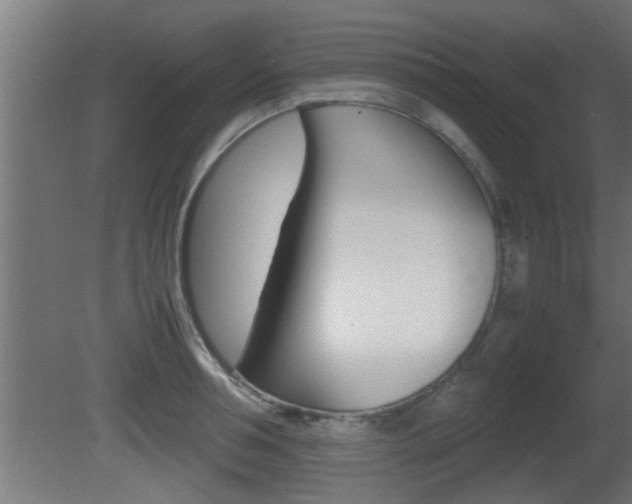 X0000081410994200701120913