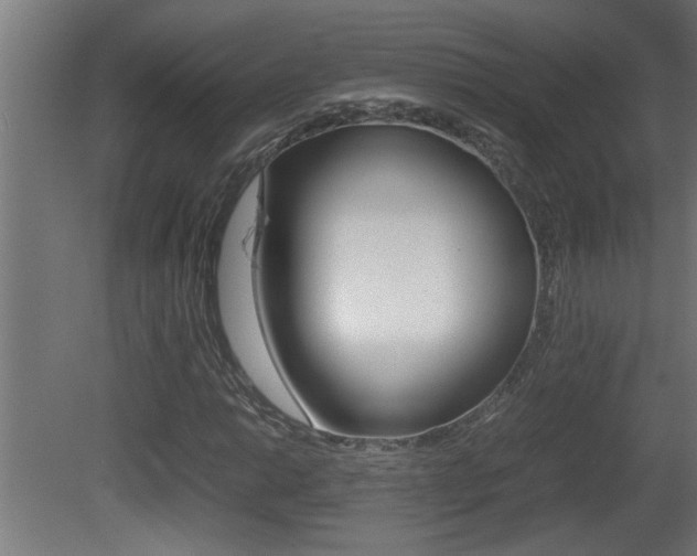 X0000081411014200701120912