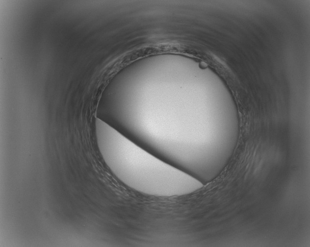 X0000081411015200701120912