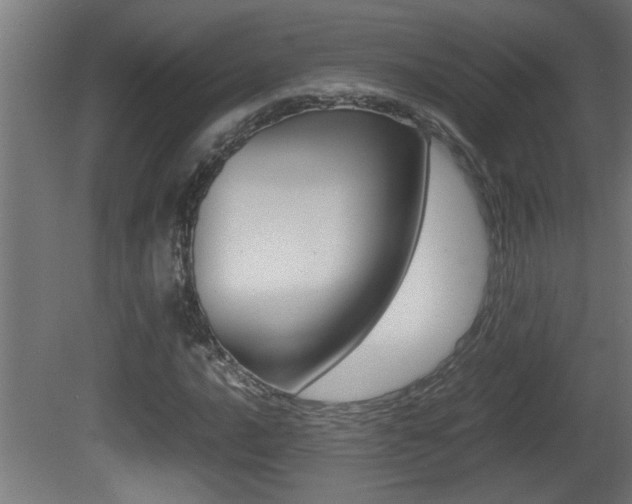 X0000081411016200701120912
