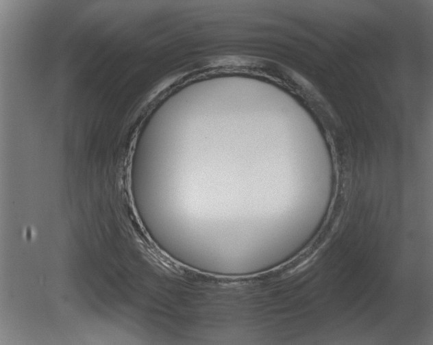 X0000081411017200701120912