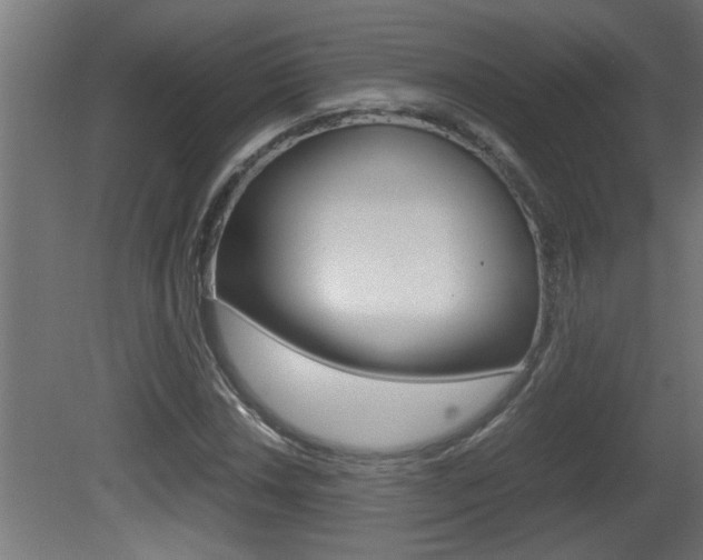 X0000081411018200701120912