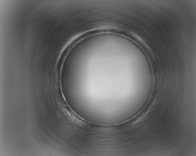 X0000081411021200701120912