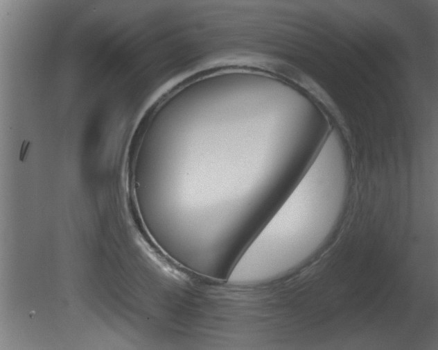 X0000081411028200701120912