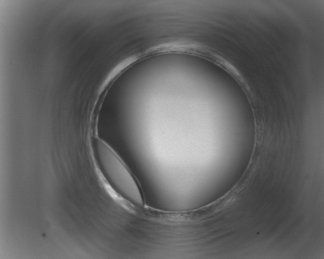 X0000081411042200701120913