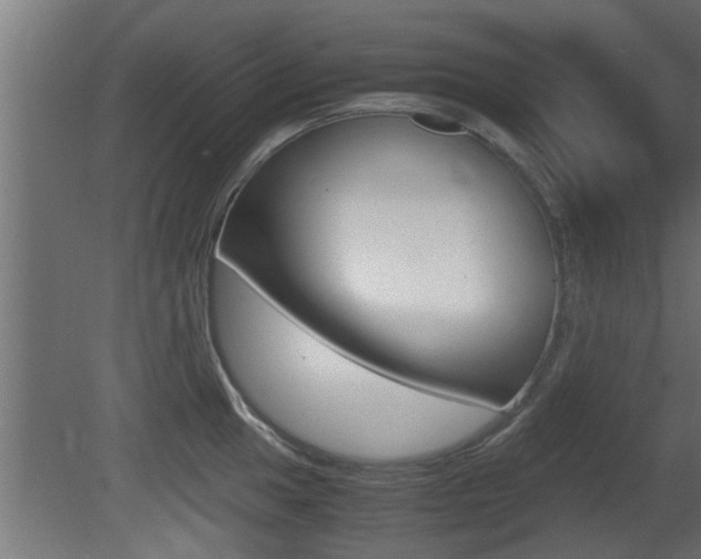 X0000081411049200701120913