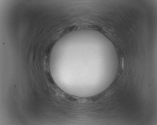 X0000081411059200701120912