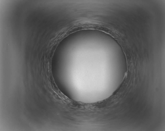 X0000081411061200701120912