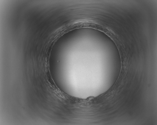 X0000081411062200701120912