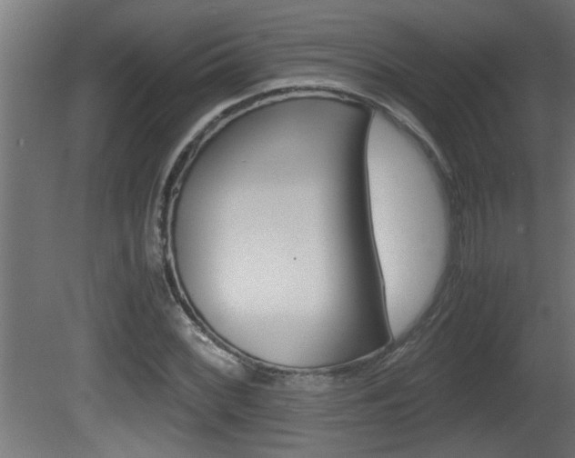 X0000081411068200701120912