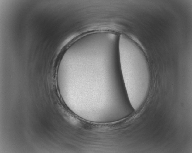 X0000081411071200701120912