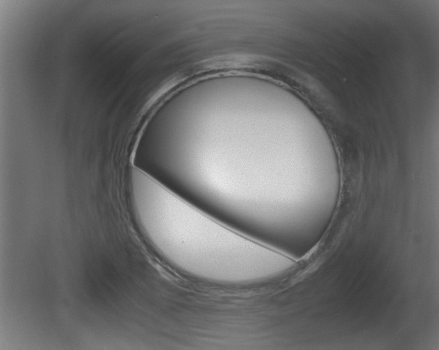 X0000081411073200701120912