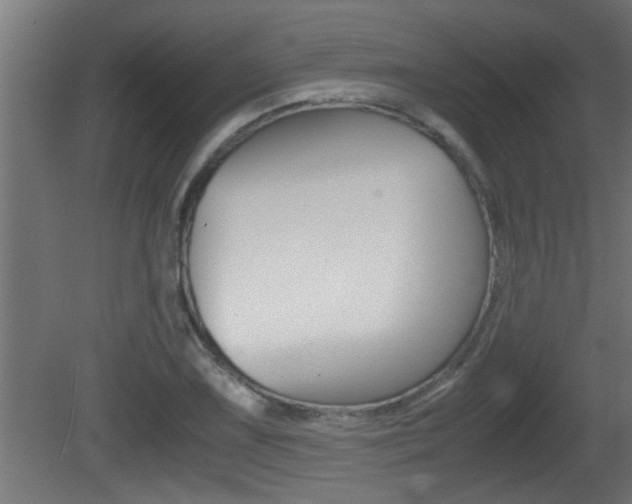 X0000081411075200701120912
