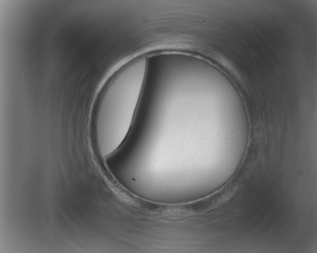 X0000081411077200701120912