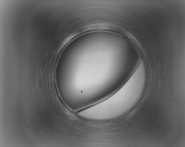 X0000081411081200701120912