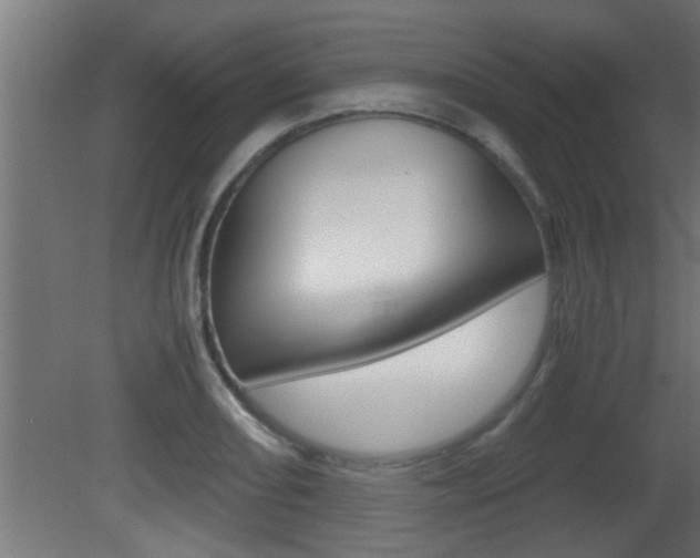 X0000081411082200701120912