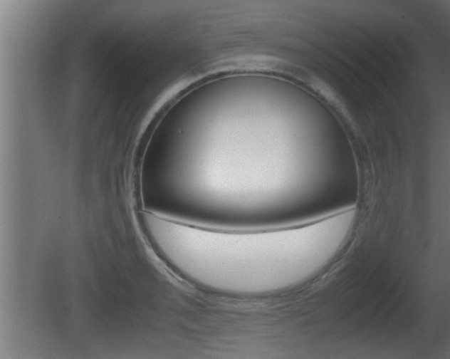 X0000081411085200701120911