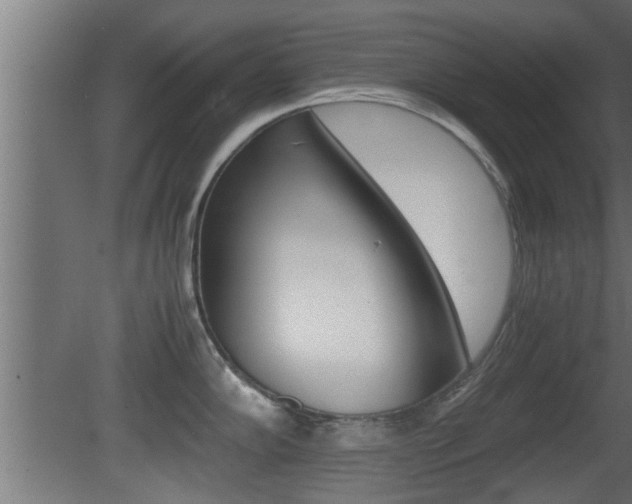 X0000081411102200701120911
