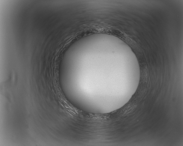 X0000081411105200701120910