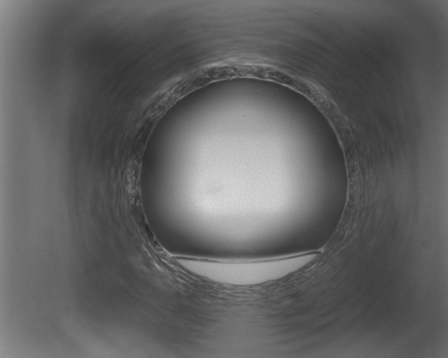 X0000081411110200701120910