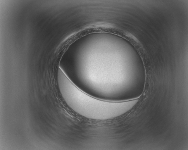 X0000081411112200701120910