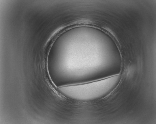 X0000081411115200701120910
