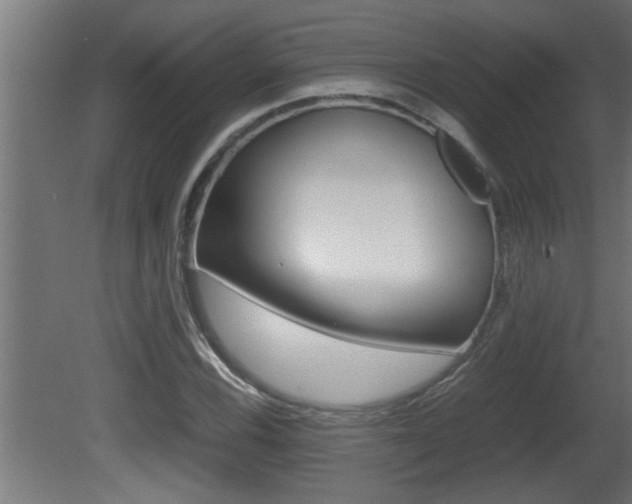 X0000081411116200701120910