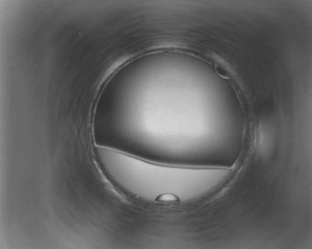 X0000081411129200701120911