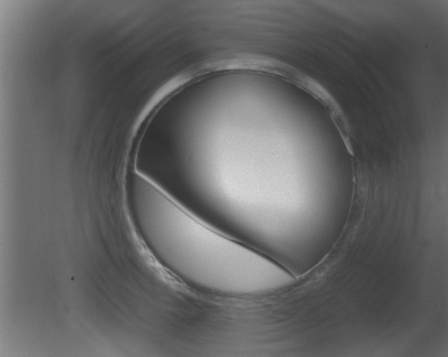 X0000081411138200701120911