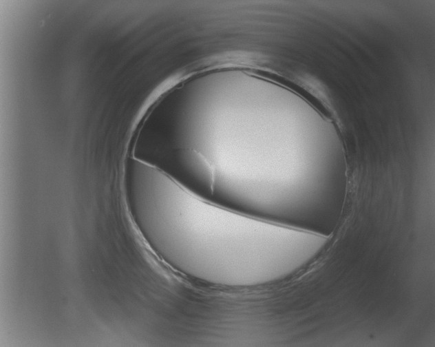 X0000081411146200701120911