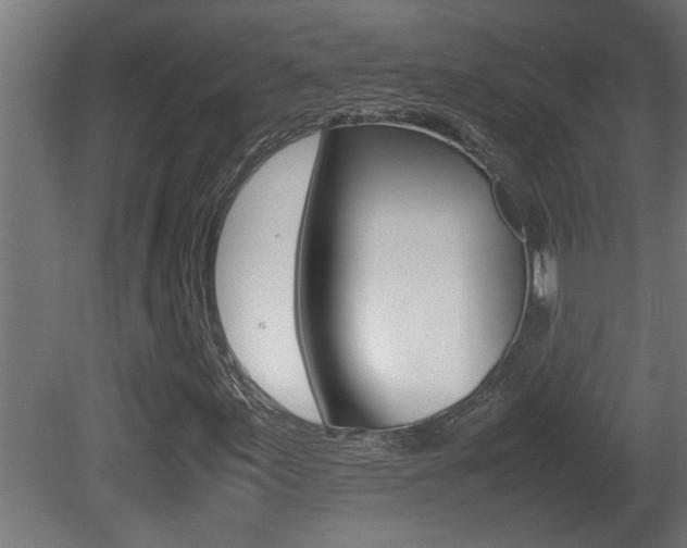 X0000081411155200701120910