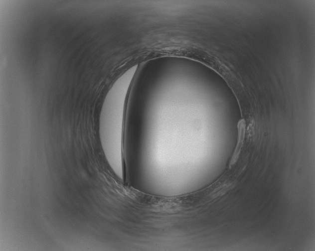 X0000081411156200701120910