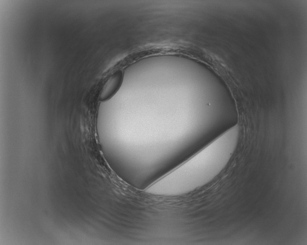 X0000081411158200701120910