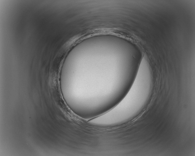 X0000081411161200701120910