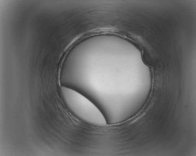 X0000081411162200701120910