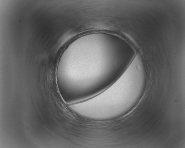 X0000081411163200701120910