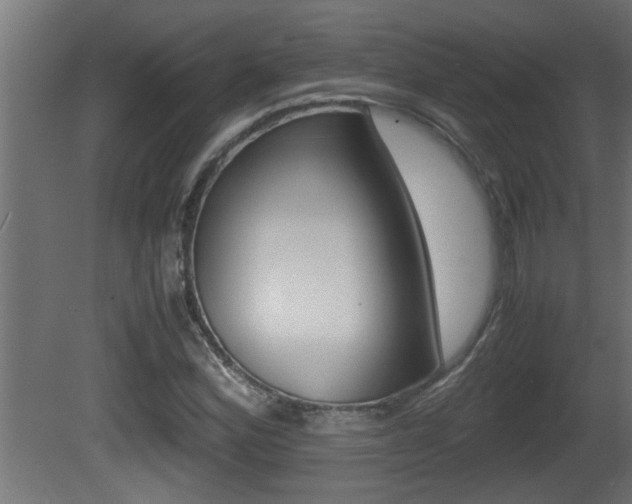 X0000081411164200701120910
