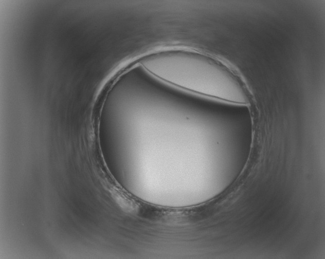 X0000081411167200701120910