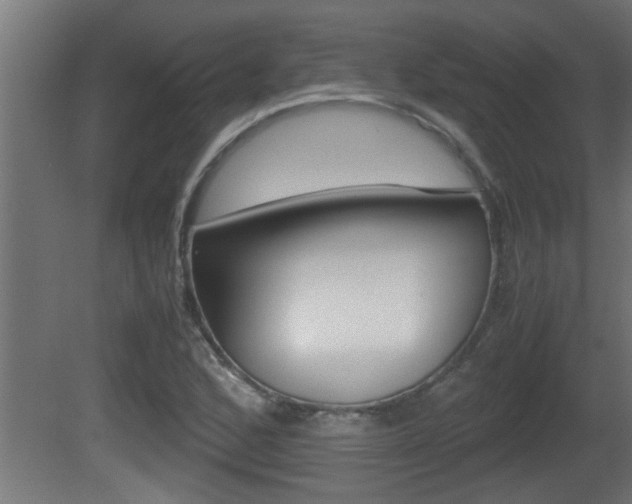 X0000081411168200701120910