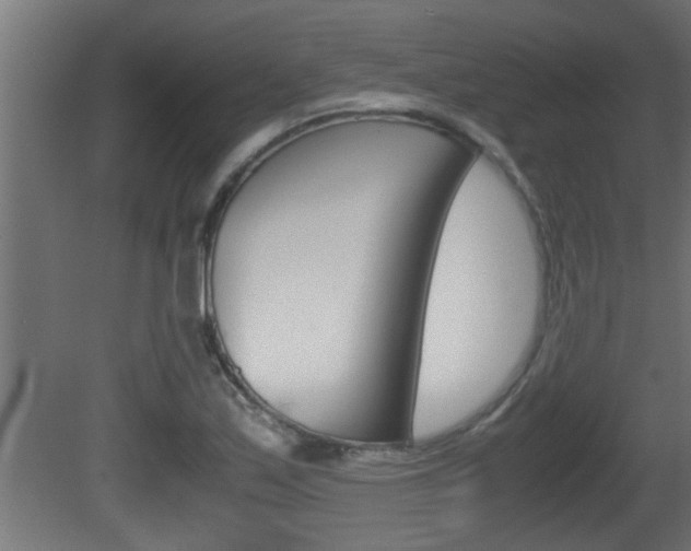 X0000081411171200701120910