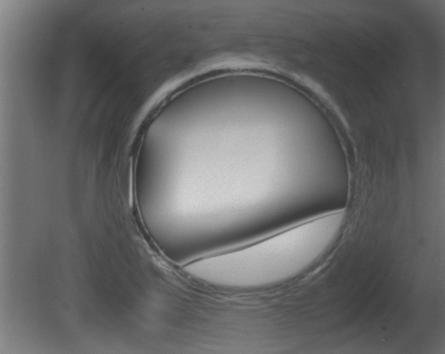 X0000081411175200701120910