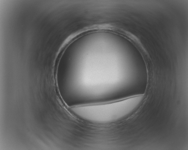 X0000081411176200701120910