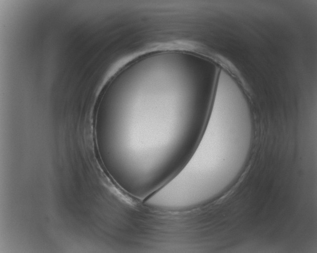 X0000081411184200701120910