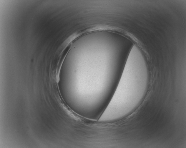X0000081411185200701120910