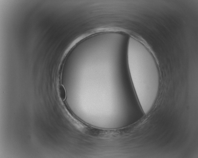 X0000081411187200701120910