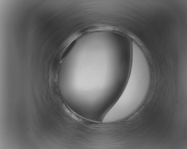 X0000081411193200701120910