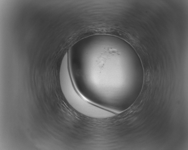 X0000081411202200701120909